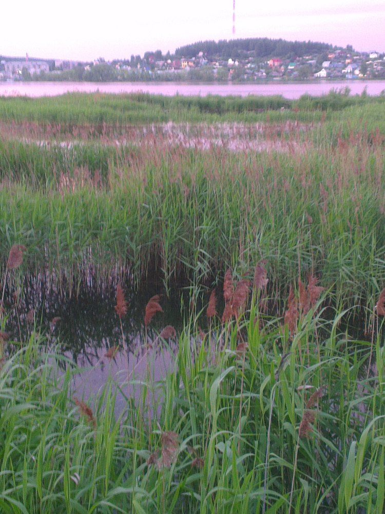 Вечер:остановка поезда