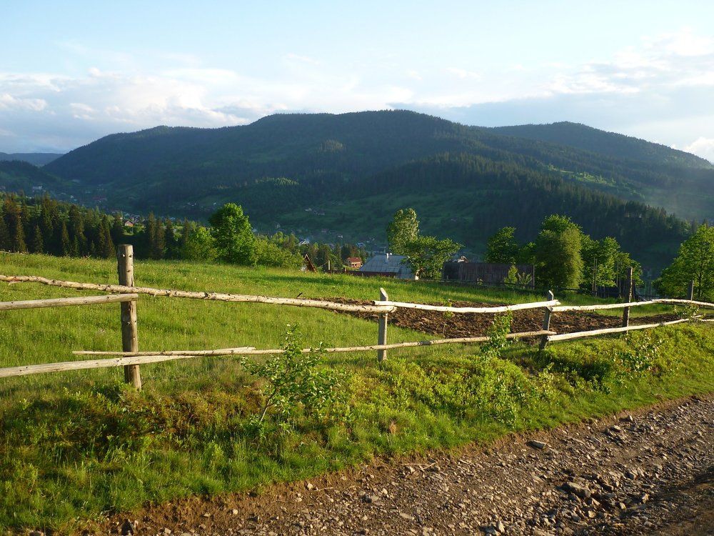 Карпаты