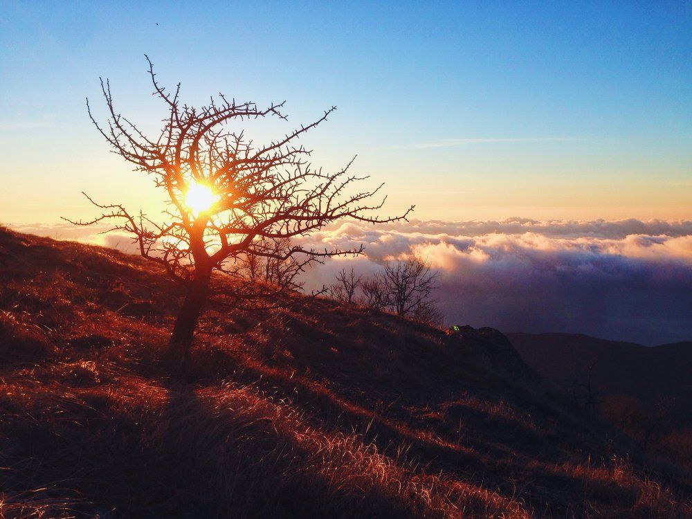 Утро на Демерджи