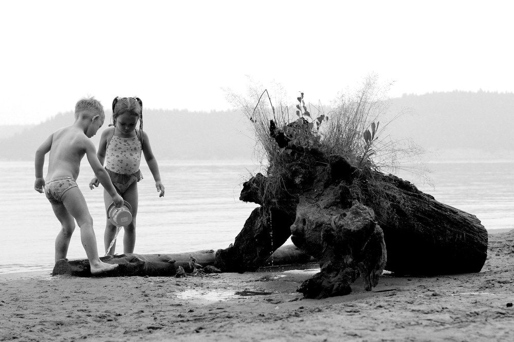 Долгожданное лето