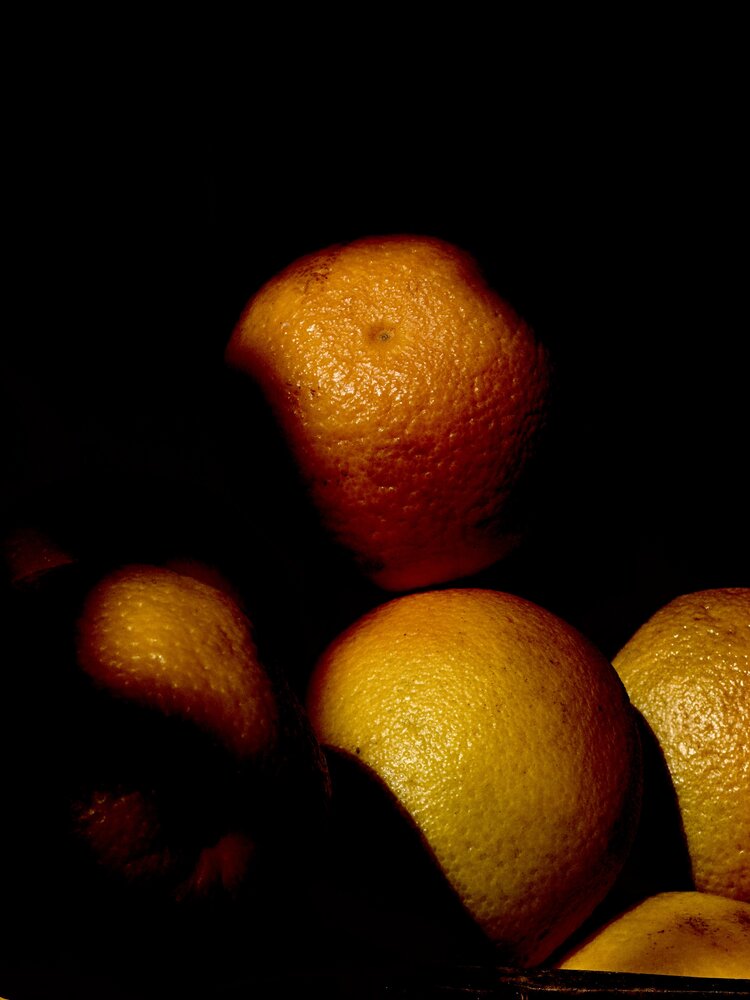 Photograph by Tanya Ward