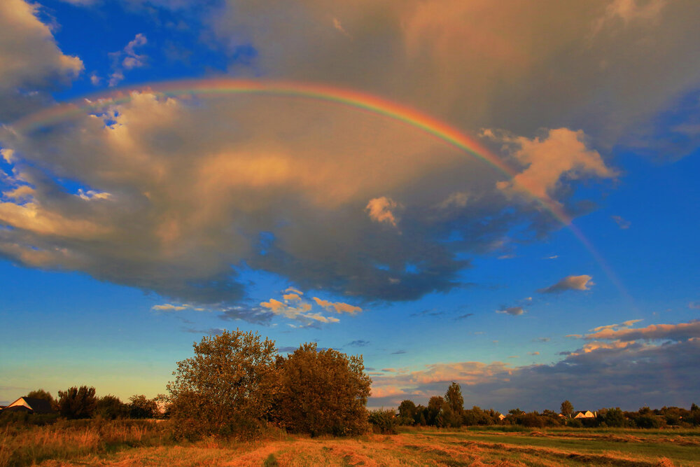 Photograph by Николай Протасеня