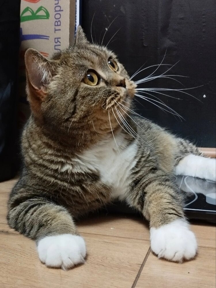Взгляд