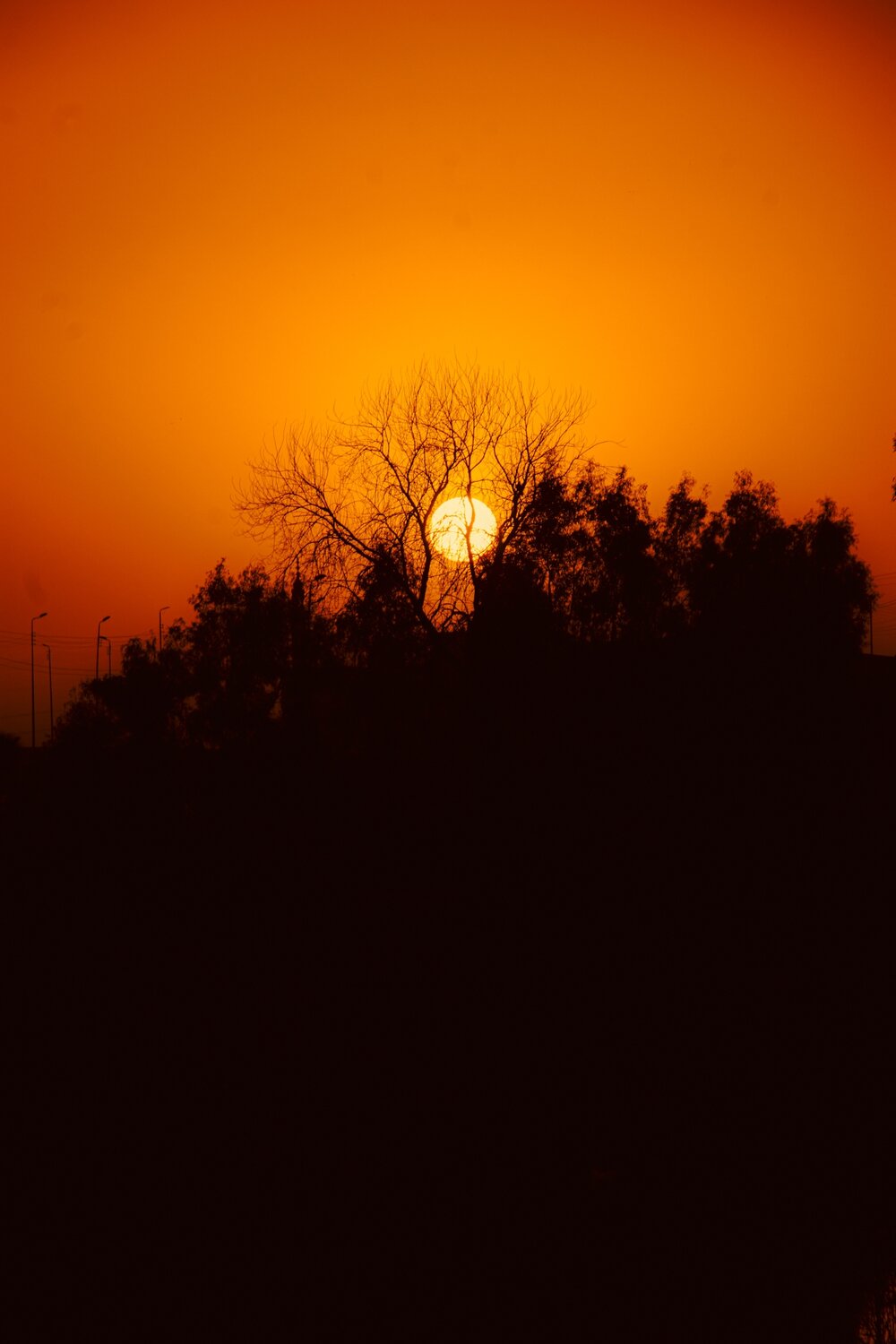 Photo #14000135