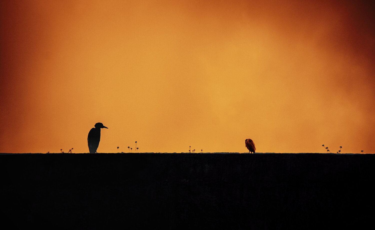 Photo #14000141