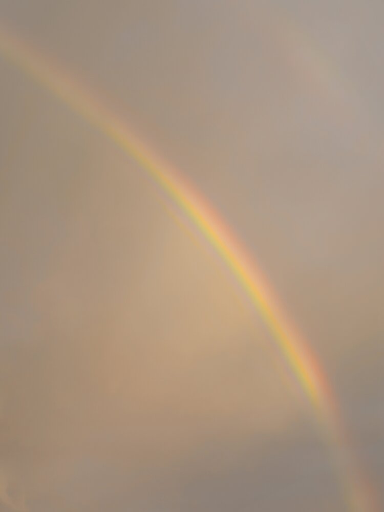 Photograph by Alexandra Pîntea
