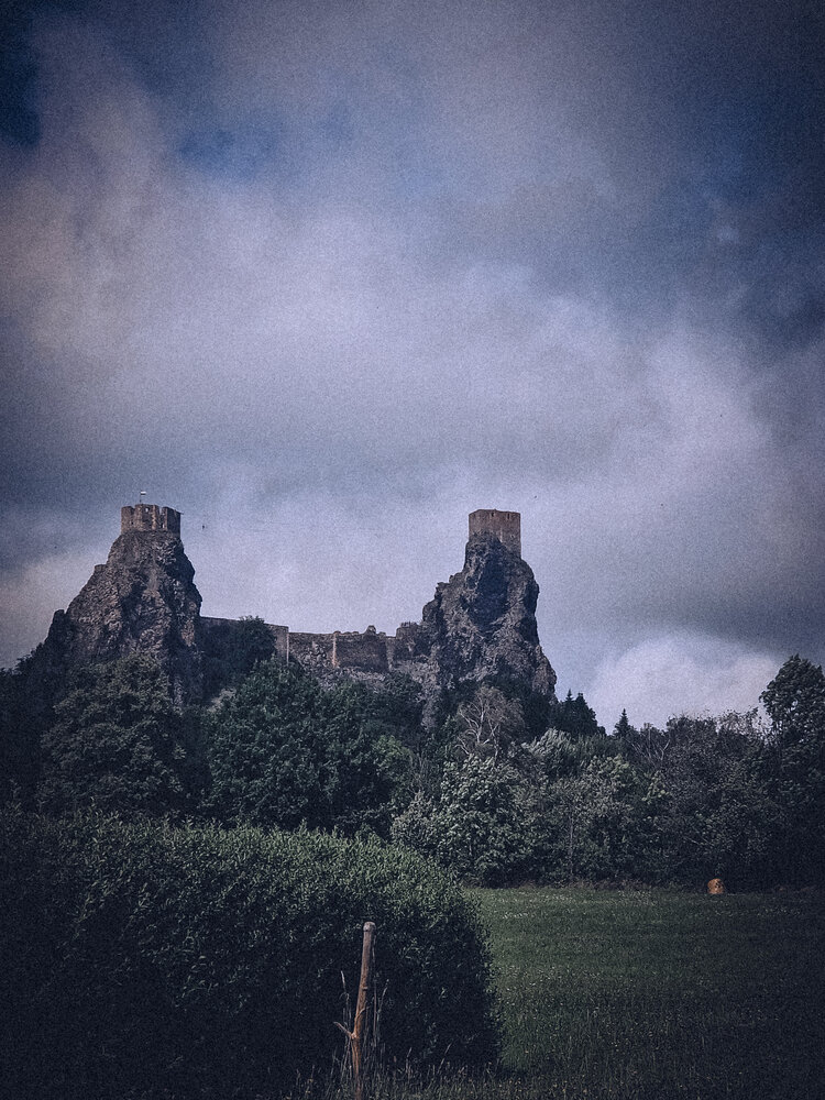 Photo #14000254