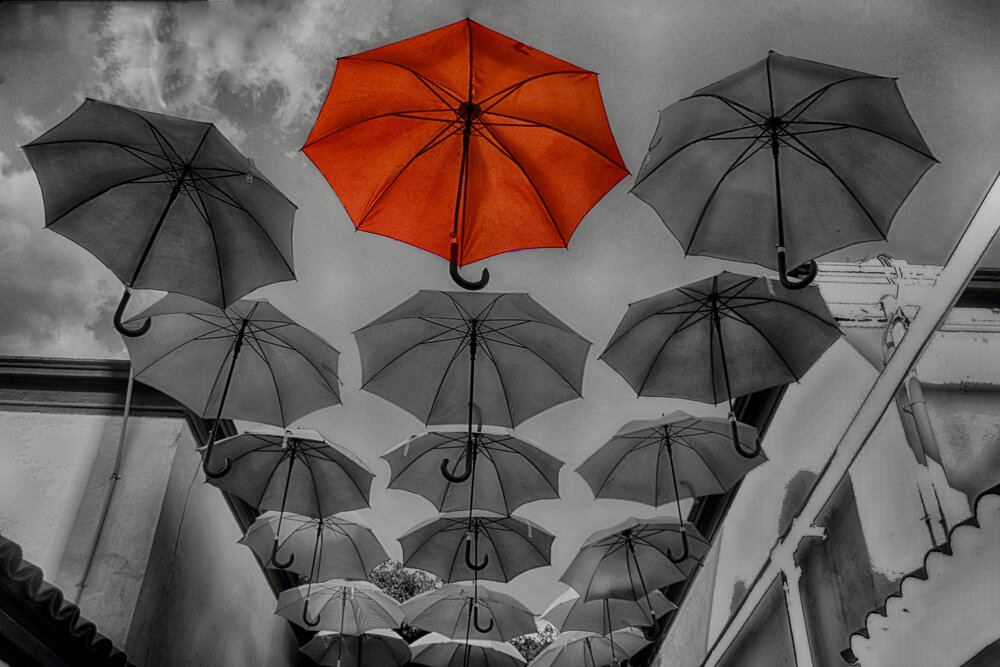 Photograph by Viviana García