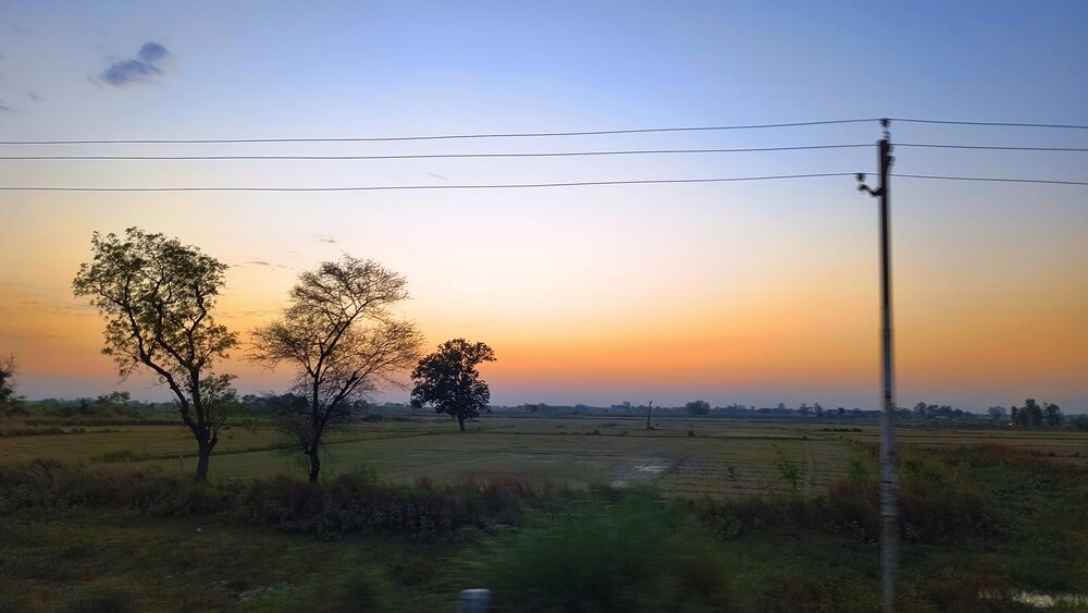 Photo #14000305