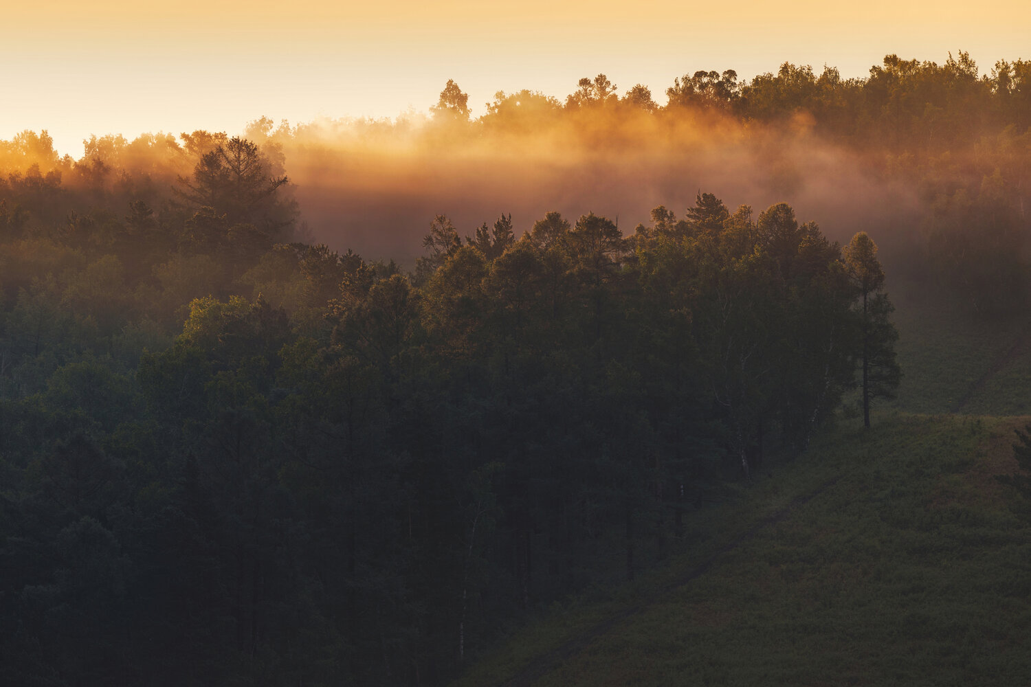 Photo #14000321