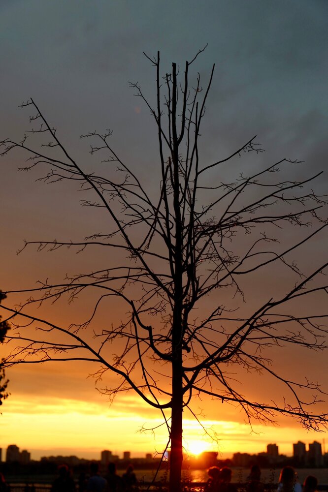Photograph by Георгий Татарченко