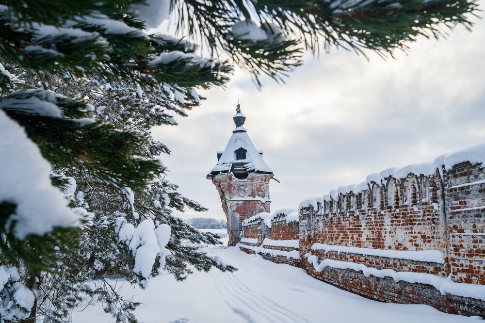 Photograph by Георгий Огурцов