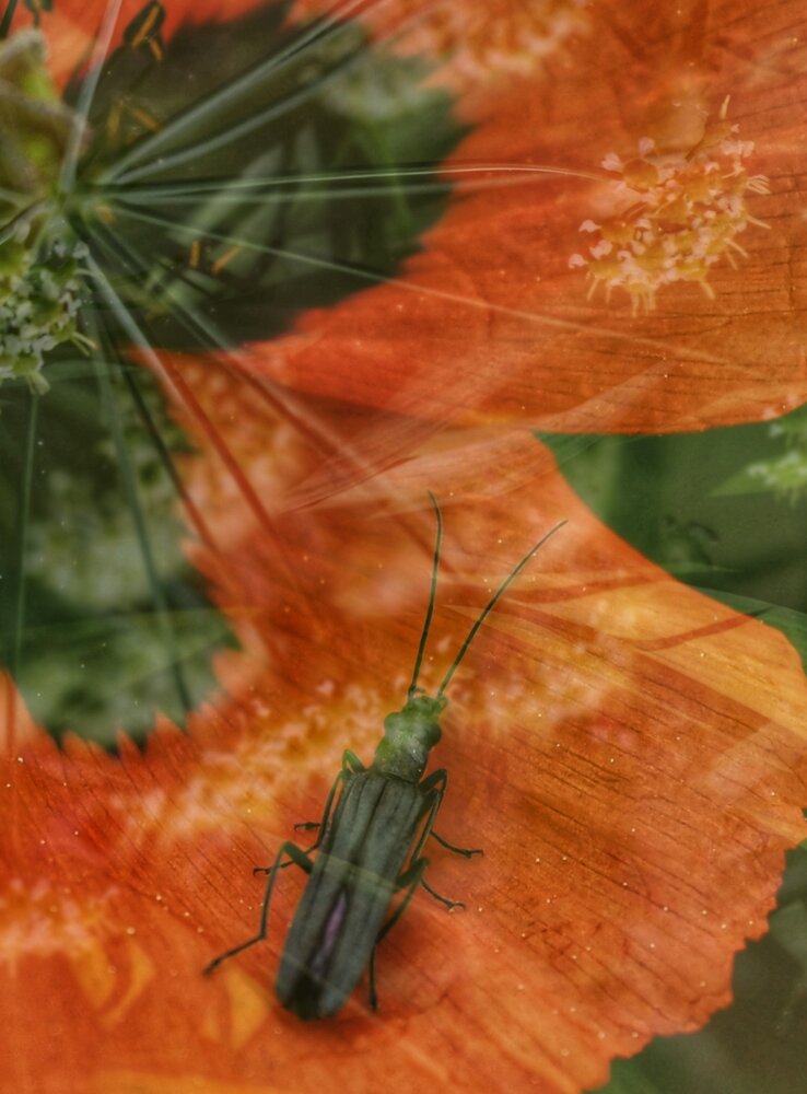 Photograph by Любовь