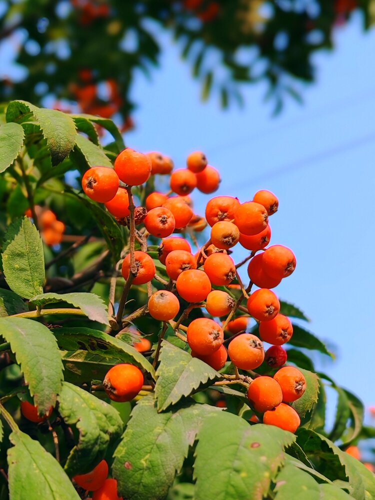 Photograph by Альбина Майкова