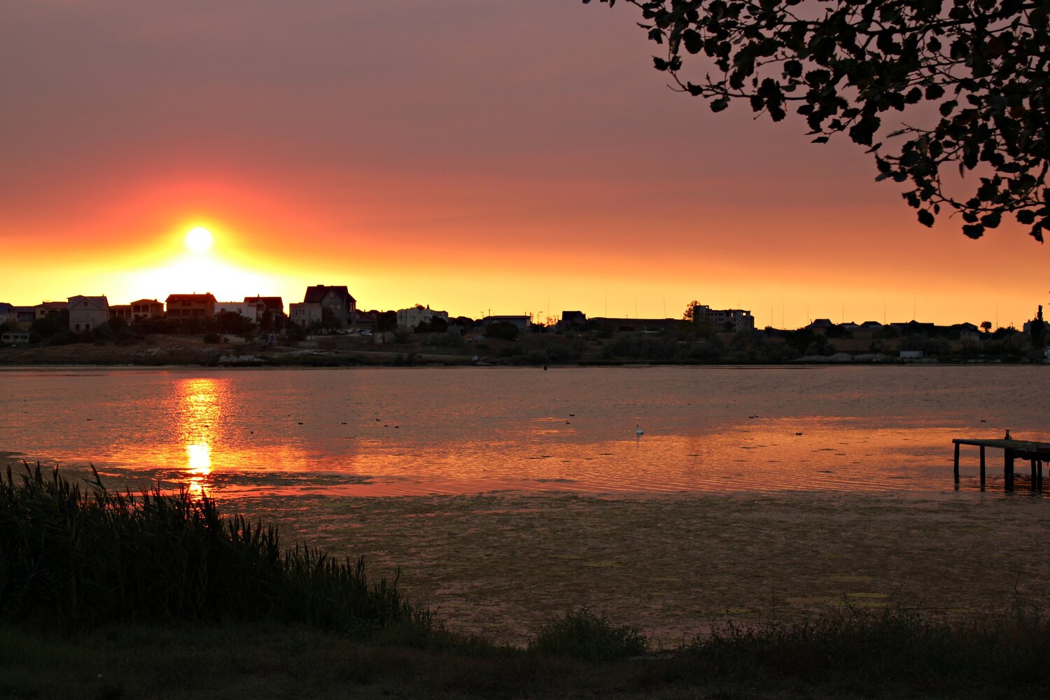 Photo #14000501