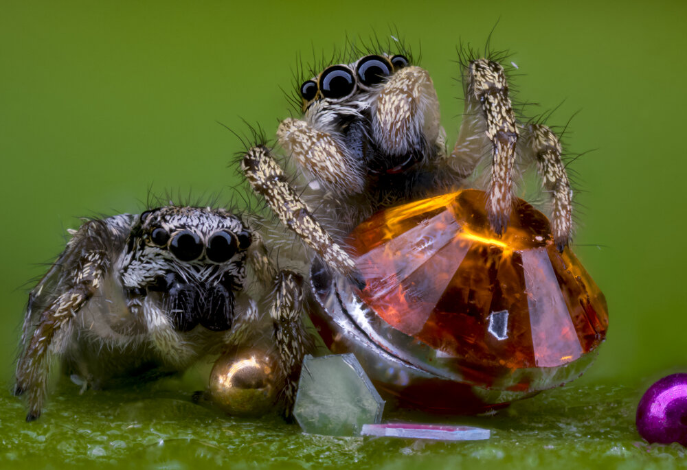 Photograph by Сергей Солобчук