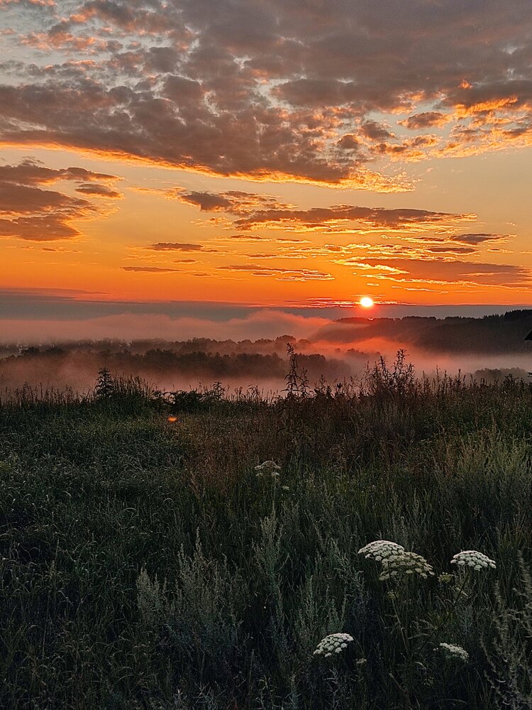 Оранжевый рассвет