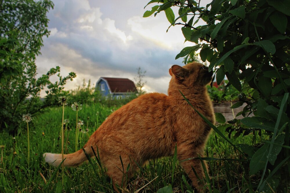 Photograph by Анна Захарчук