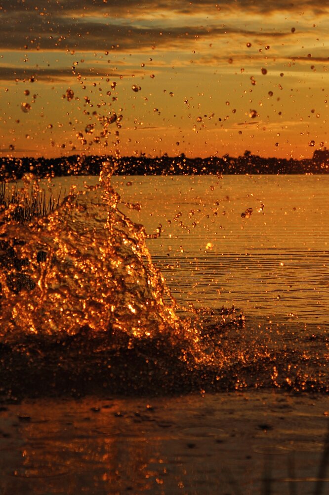 Photograph by Анна Захарчук
