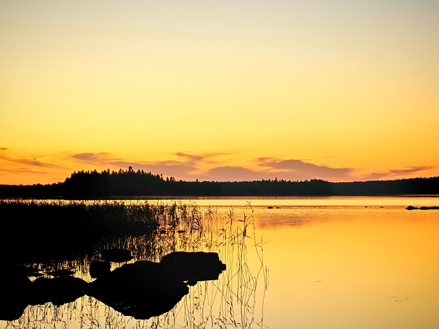 Photo #14000580