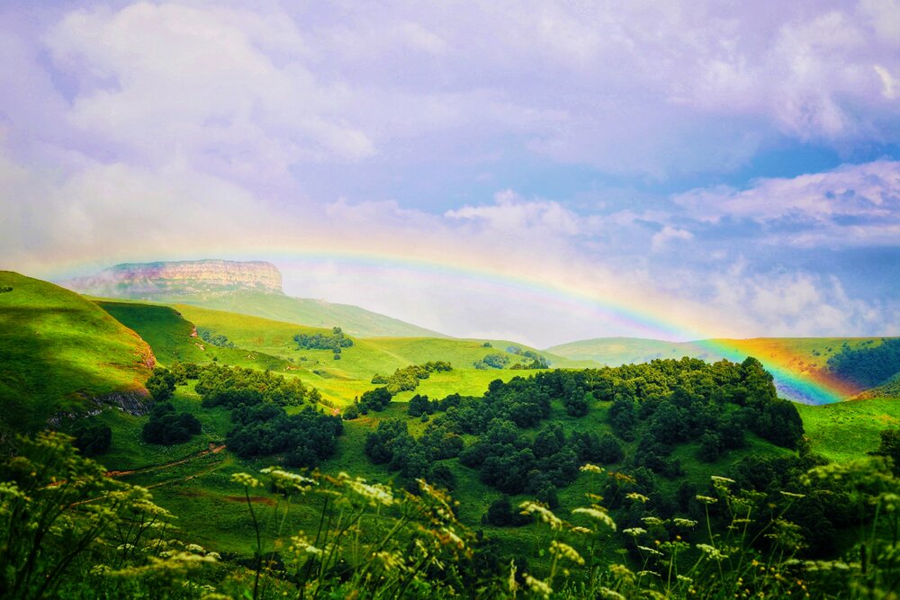 Photograph by Элеонора Ванцева