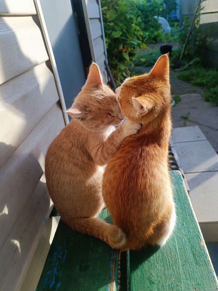 Photograph by Игорь Крапивин
