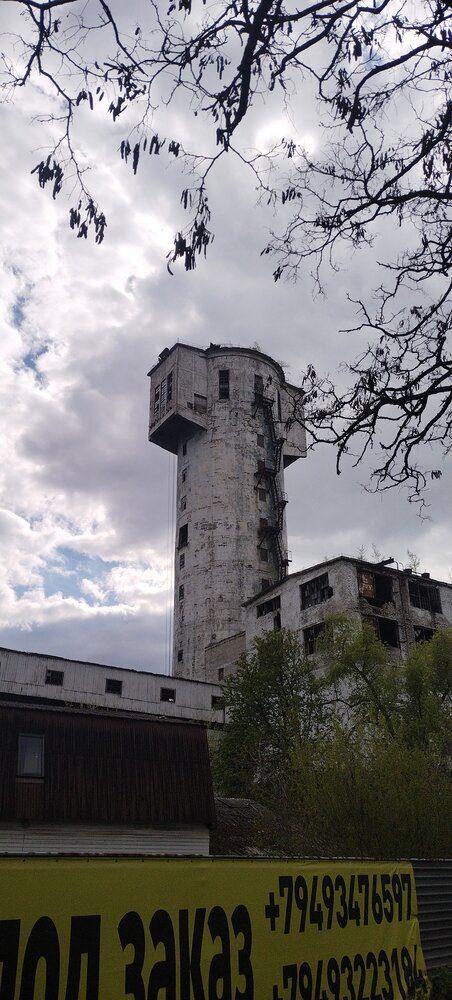 Photo #14000861