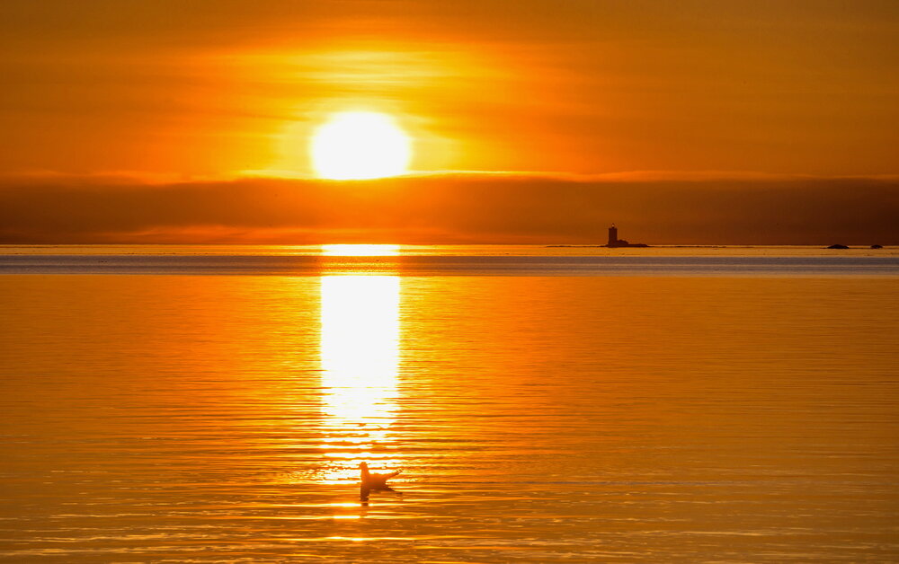Photograph by Валерий Смирнов