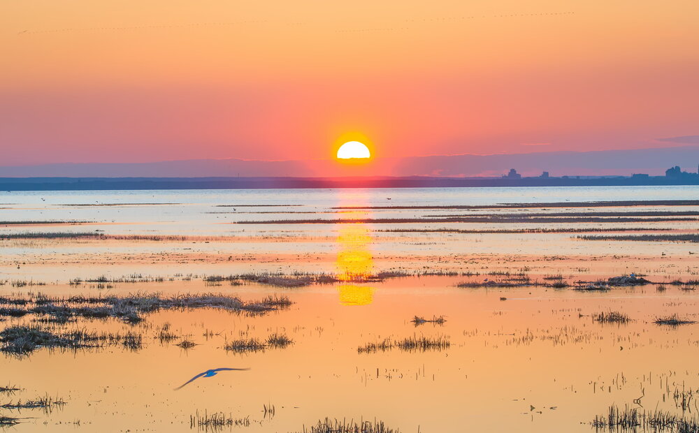 Photograph by Валерий Смирнов