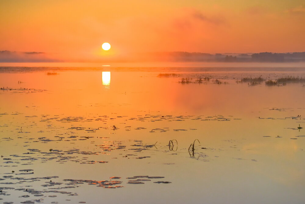 Photograph by Валерий Смирнов