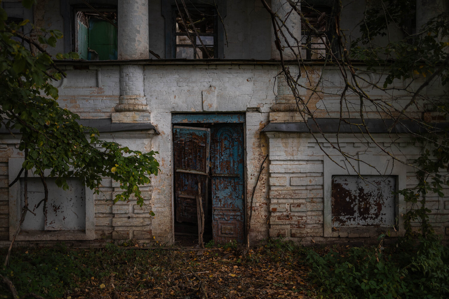 Photo #14000877