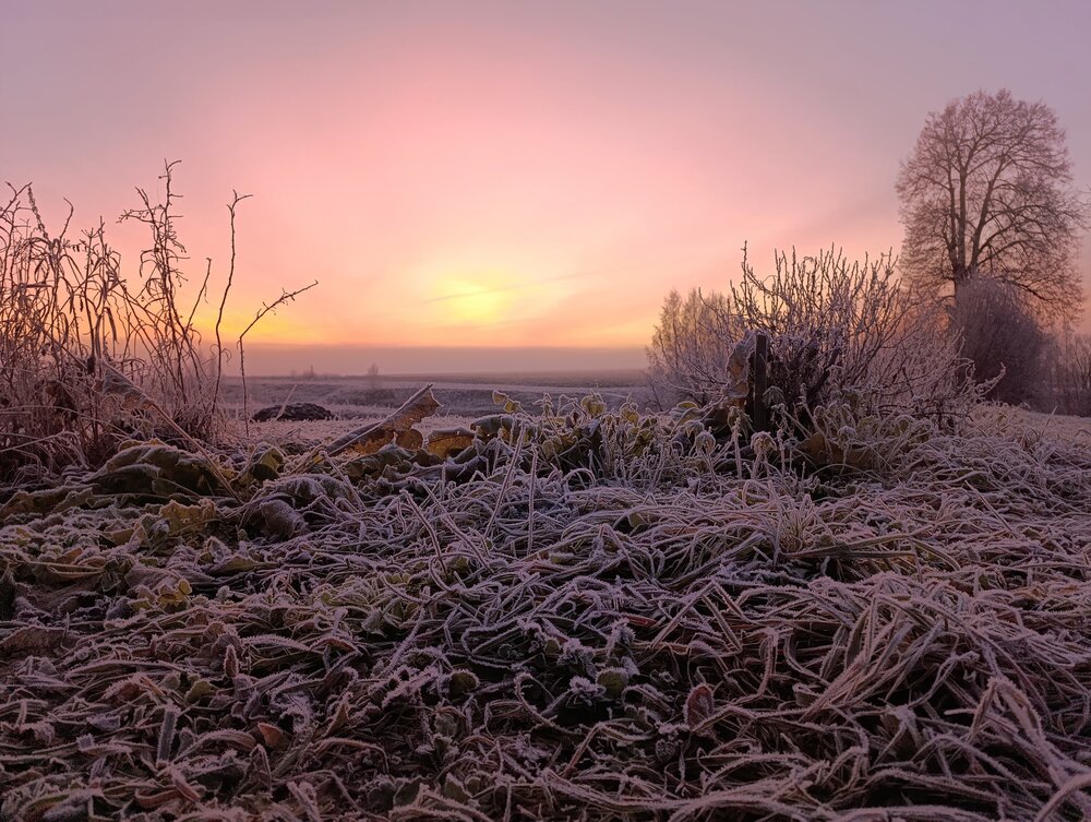Photo #14000933