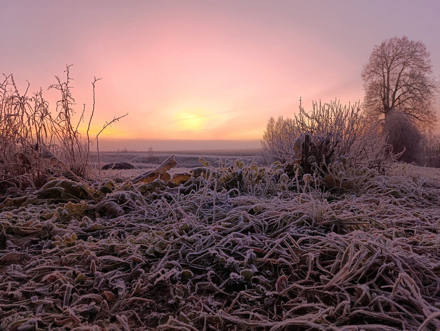 Photo #14000933