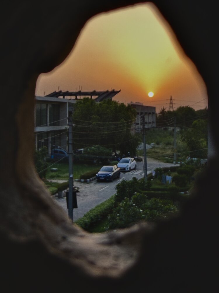 Photograph by Sharma Dr Megha
