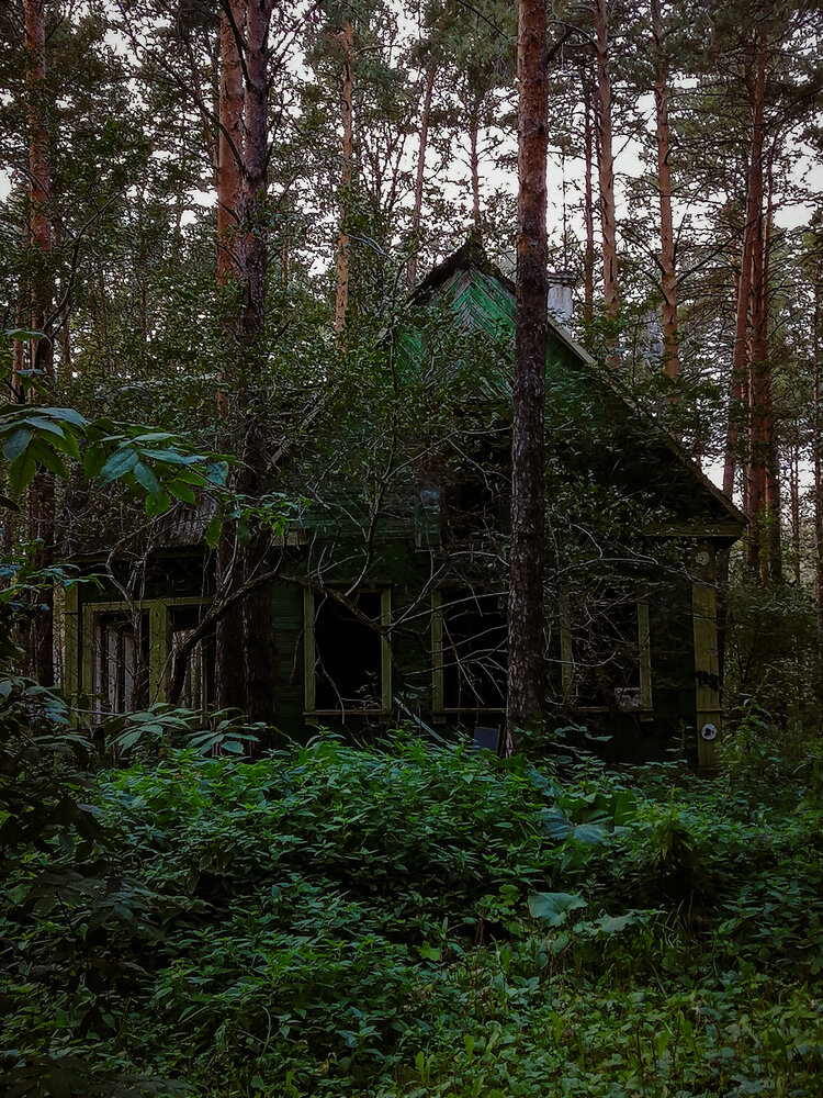 Photograph by Палкина Елена