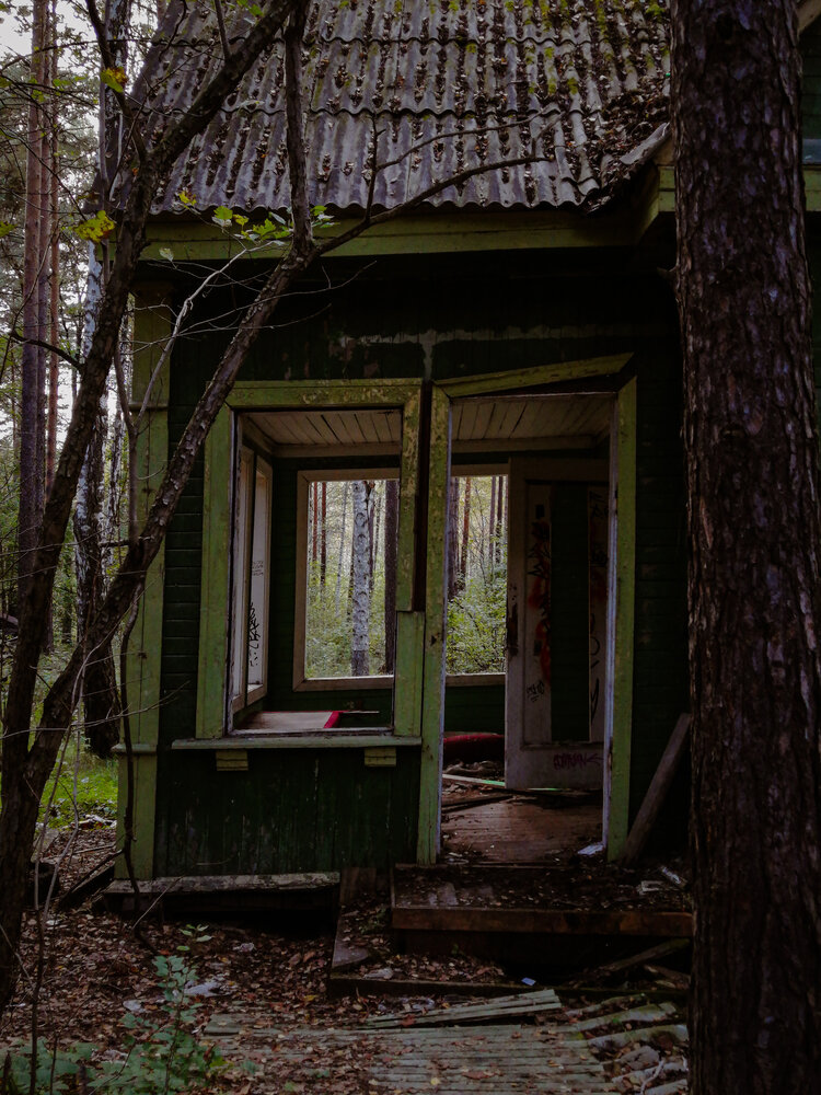 Photograph by Палкина Елена