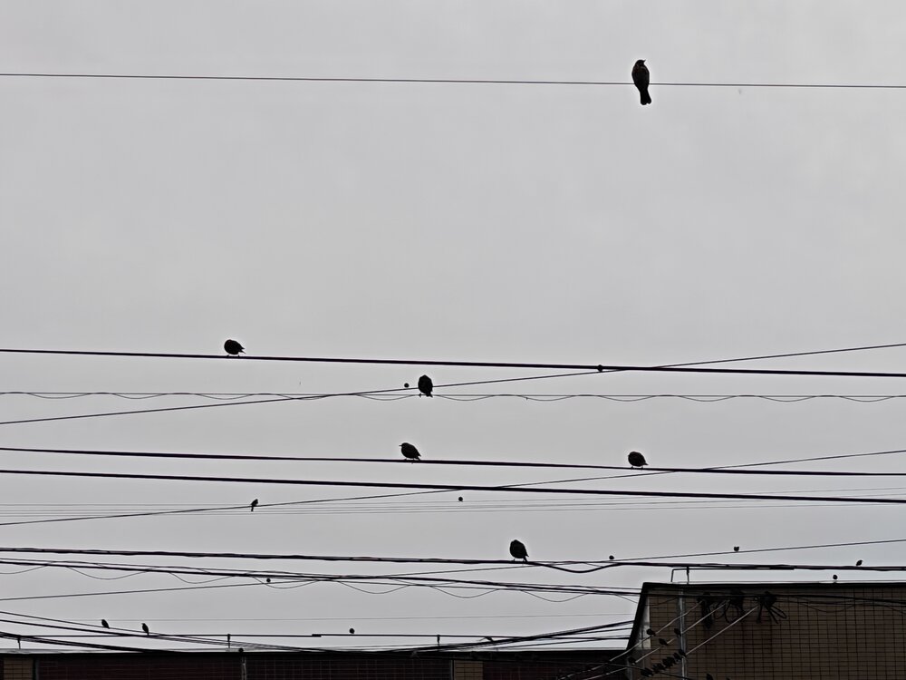 Photograph by Наталья Половая