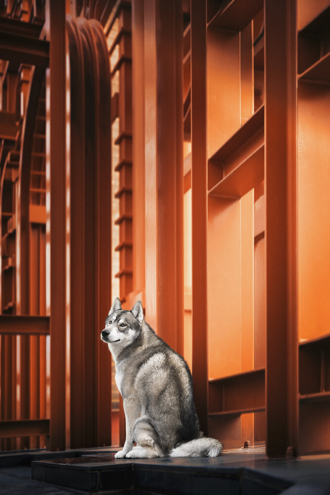Photograph by Elke Braet