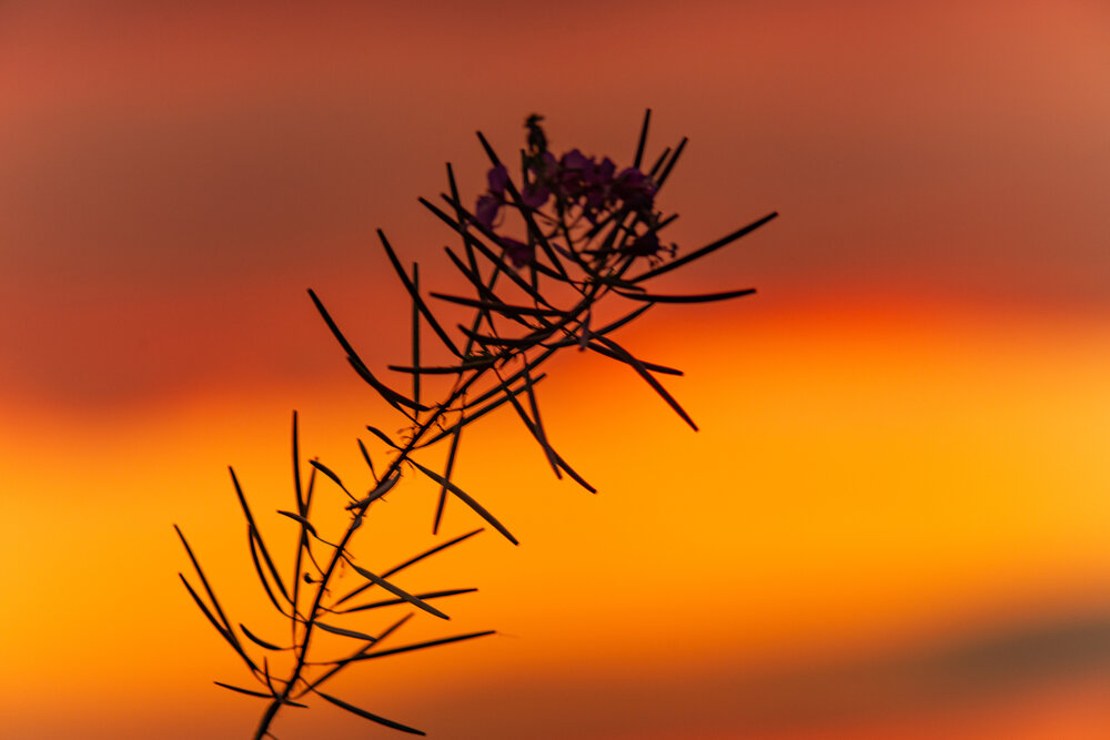 Photograph by Денис Хасанов