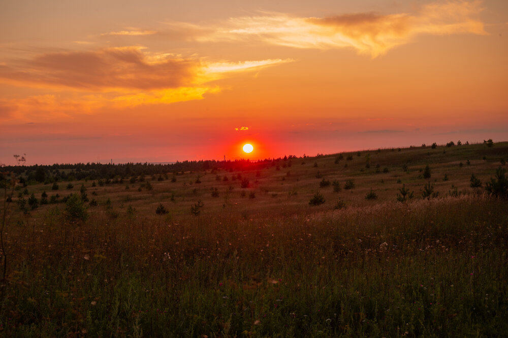 Photograph by Денис Хасанов