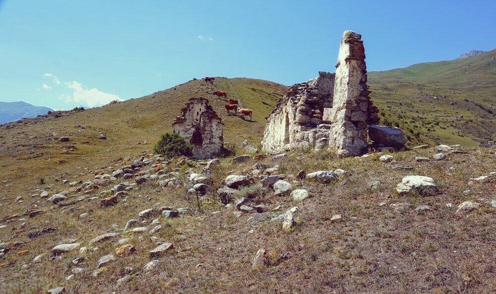 Photograph by Светлана Иванова