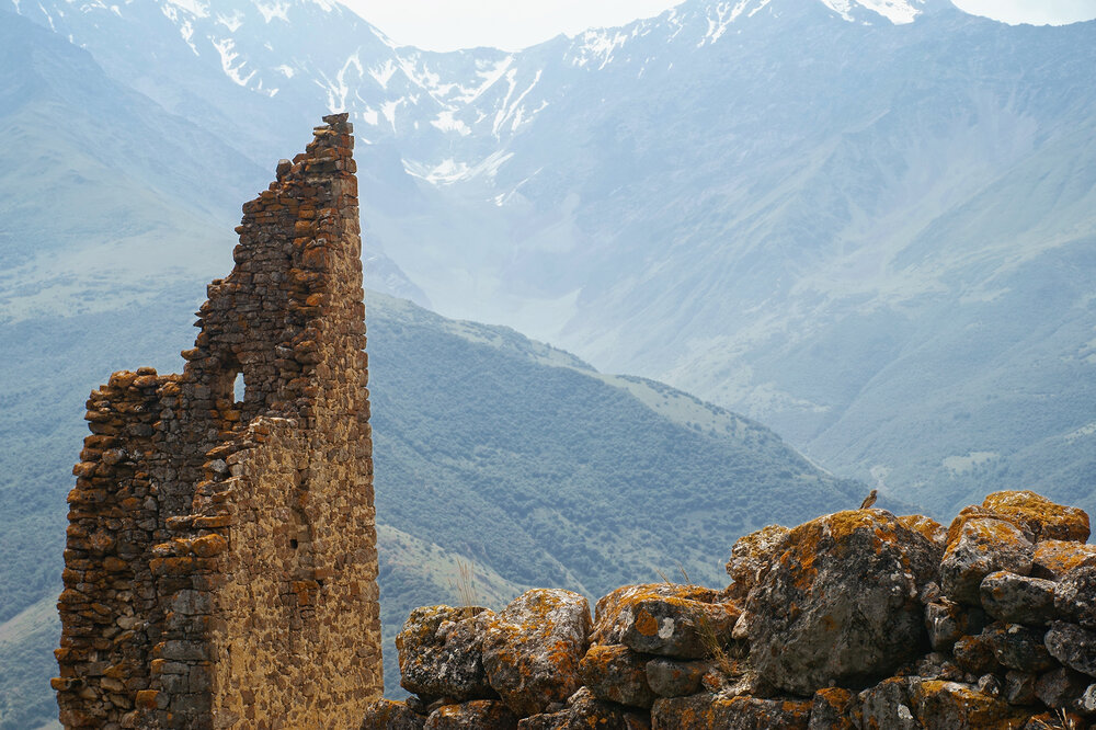 Photo #14001059