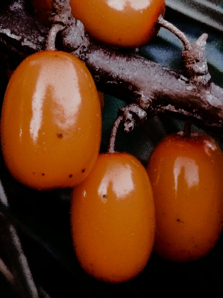 Photograph by Дубровина Марина