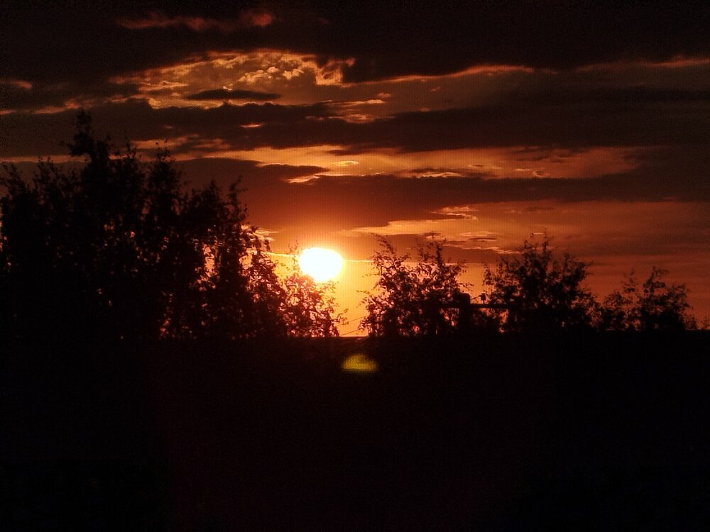 Photograph by Дубровина Марина