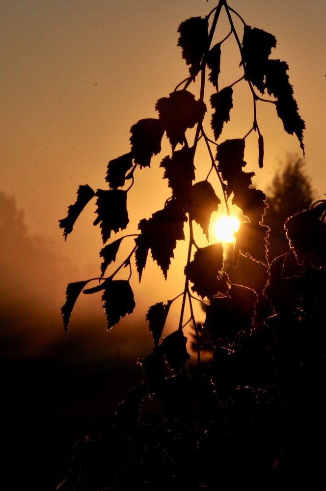 Photograph by Ольга Струкалина