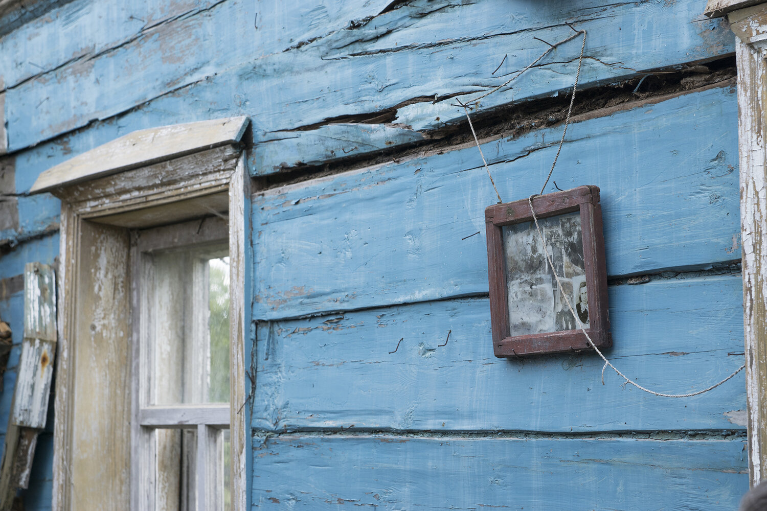 Photo #14001226