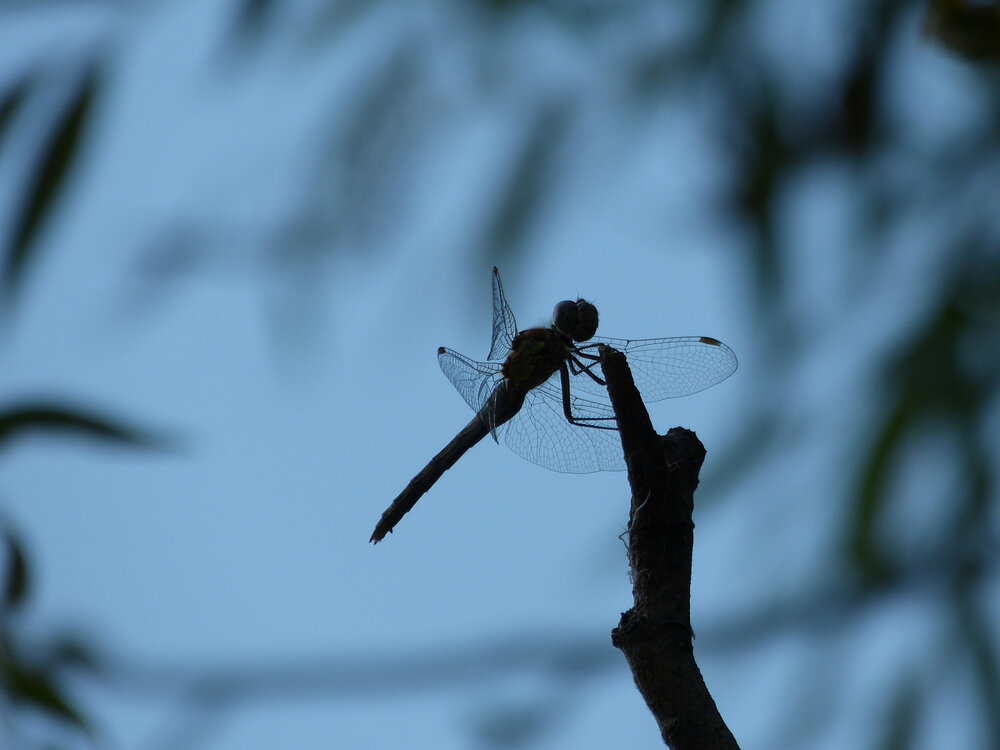 Photograph by Наталья Веселкина
