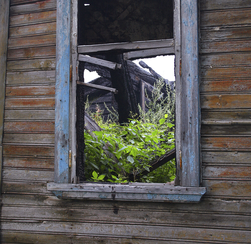 Photograph by Парк Юрский