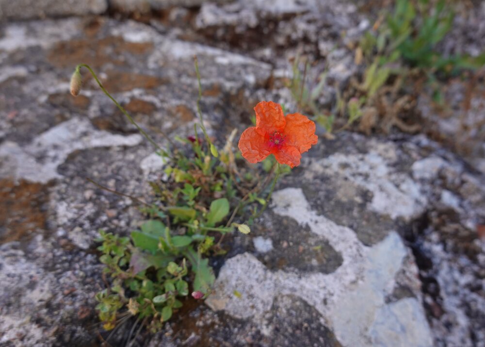 Photograph by Ионова Татьяна
