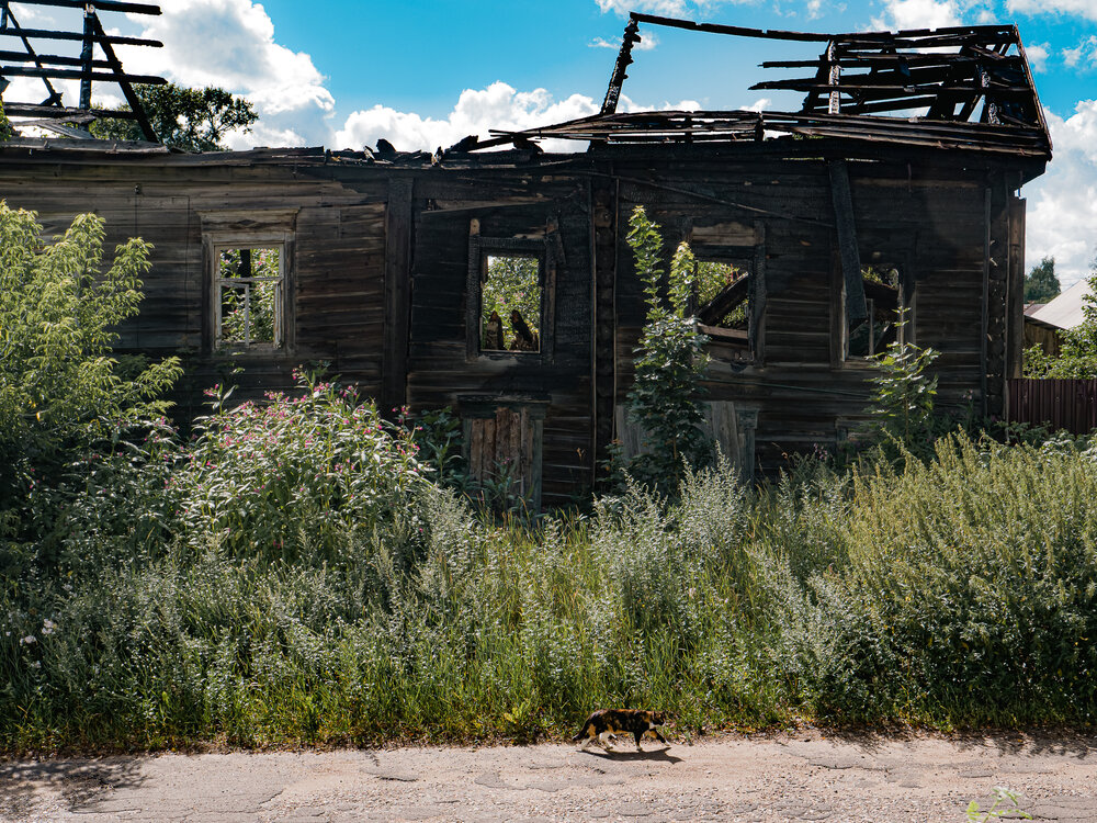 Фотография автора Борис Романов